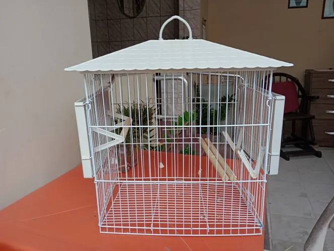 Gaiola para calopsita semi nova