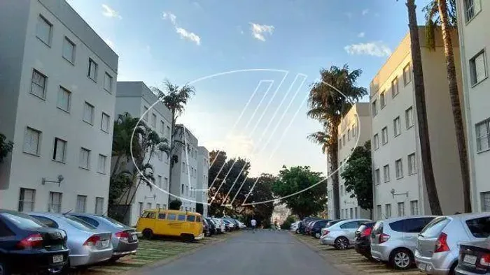 apartamento - Jardim Miranda - Campinas