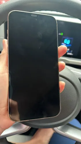 iPhone 12 Pro Max 256g