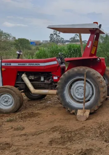 Trator Massey Ferguson 265, ano 84