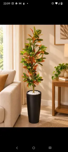 lindo vaso decoração de croton gigante permanente