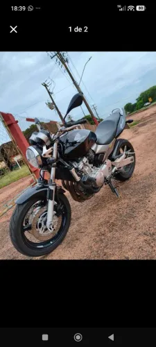 Hornet