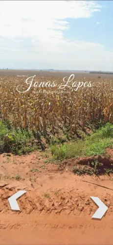 Fazenda 40 Alqueires - Alto Piquiri - Paraná