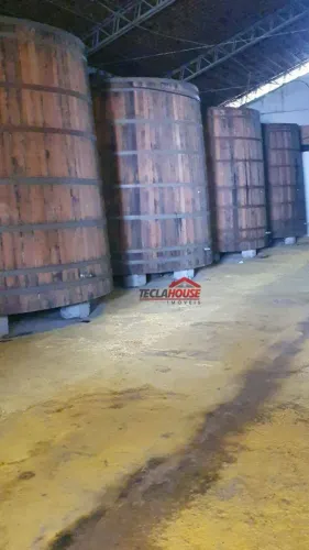 Fazenda a VENDA 15 milhões ótimo investimento