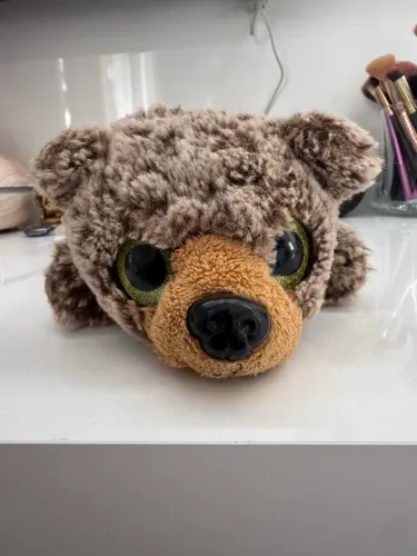 estojo de pelúcia de ursinho