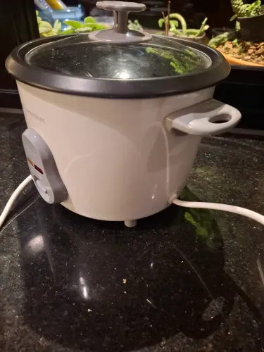 Panela eletrica arroz electrolux modelo easy line 110v