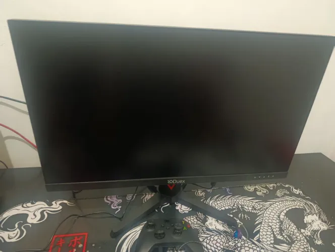 Monitor gamer