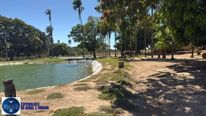 Chácara à Venda em Morrinhos GO | 38 Alqueires | Rica em Água