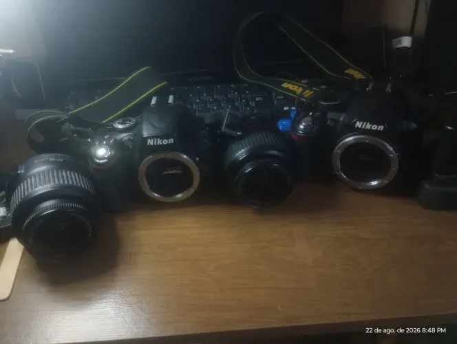 nikon D5100 e 3100