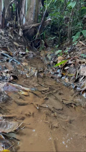 Terreno com nascente em soído Domingos Martins 