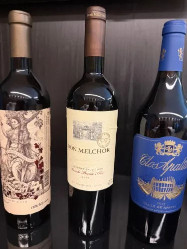 Vinhos argentinos premium 