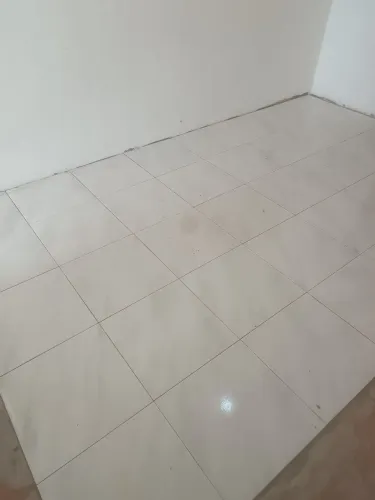 Pedreiro construção 