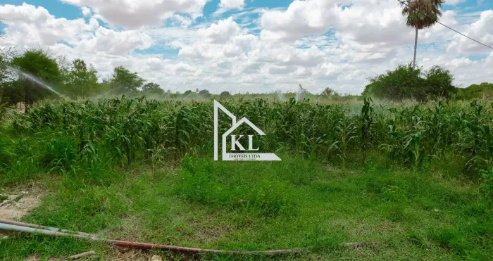 Fazenda de 120 Hectares com Abundância de Água - Oportunidade para Investimento ou Lazer