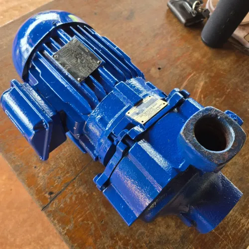 Bomba água Centrífuga Ksb Megabloc 050-032-125r 4cv 2p Trifásica