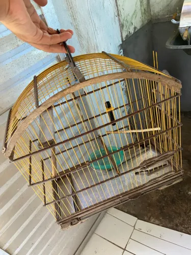 Casa pra aves