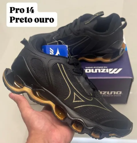 Mizuno prophecy 14