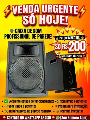 OPORTUNIDADE ÚNICA: CAIXA DE SOM PROFISSIONAL