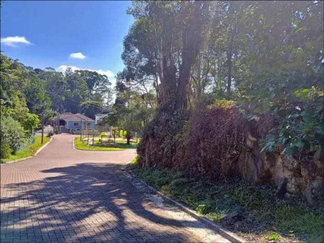Terreno - Bairro Carniel