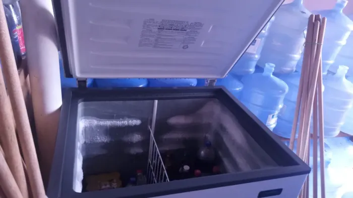 Freezer vertical