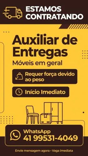 Auxiliar de entrega e montador