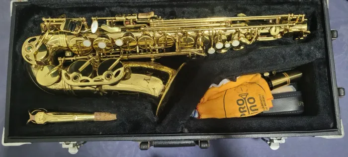 Sax Alto New York AS-200
