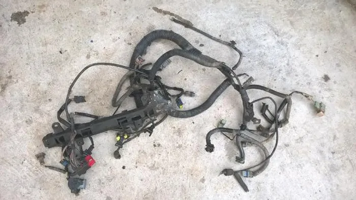 Chicote do motor xsara picasso 2003 2.0 automatico