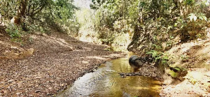 Excelente Chacara com 2 Hectares, no Capão cumprido