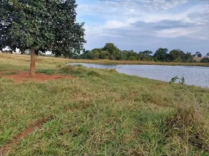 Vende-se 81 alqueires em Itaruma-GO Porteira fechada