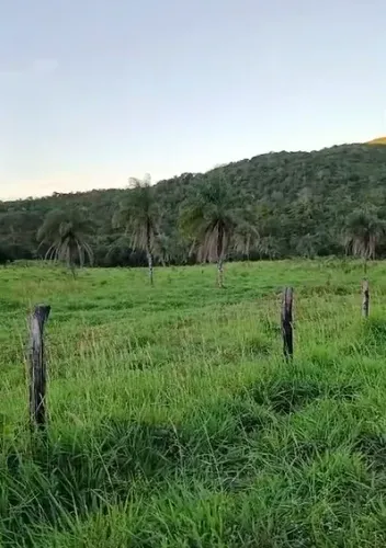 Fazenda à Venda - 40 Alqueires-NIquelândia