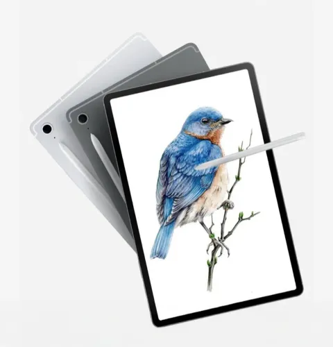 Samsung Galaxy Tab S10 FE Plus 128GB - Novo