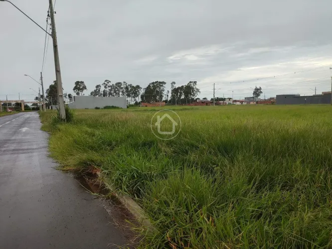 2 TERRENOS COMERCIAIS LADO A LADO