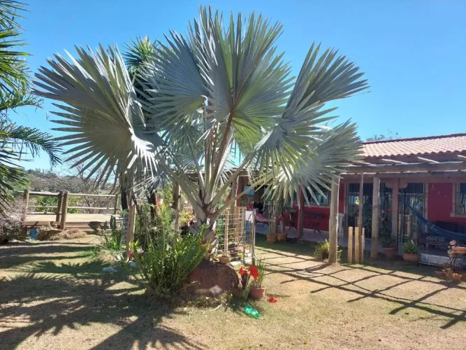 Chácara à venda, 3 quartos, 1 suíte, 5 vagas, Condomínio Estância San Remo - CENTRO-CONTAG