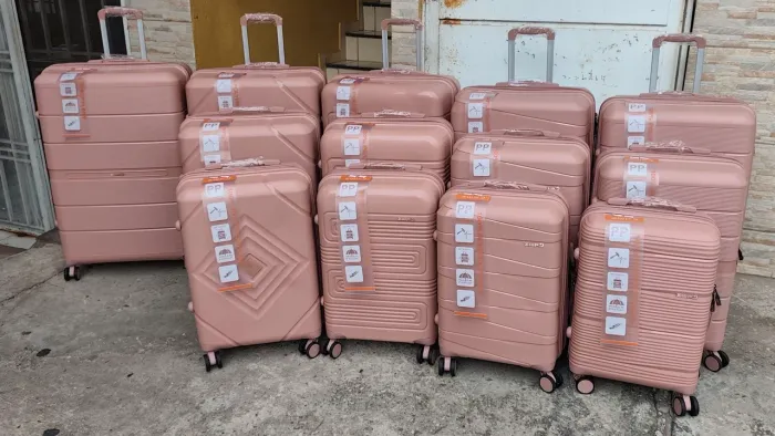 Malas de Viagem Rose Elegantes