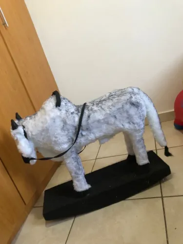 Boi boizinho com base de madeira de balanço 