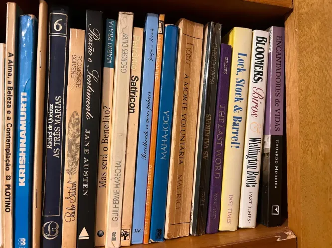 Livros de diversos autores e gêneros