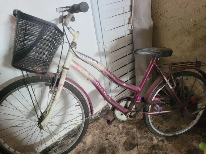 Bicicleta Feminina Aro 20