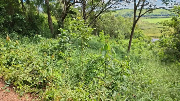 Terreno 600 m²