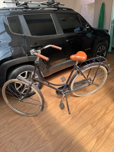 Bike Holandesa