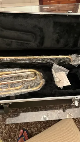Trombone de vara shelter