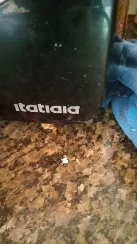 ? AIR FRYER À VENDA! ?
