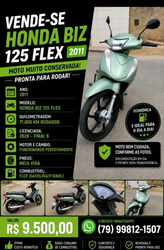 Biz 2011