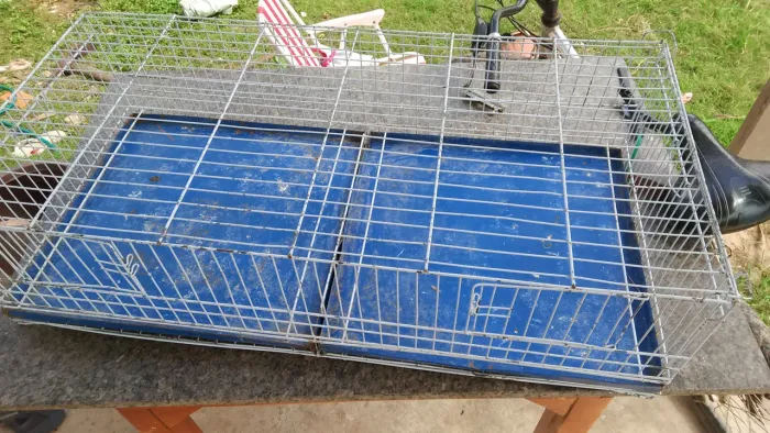 Pinteiro pra vender aceito troca