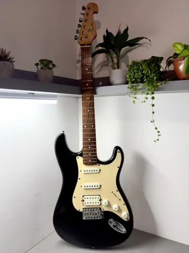 Guitarra Shelter USA (California Standard)