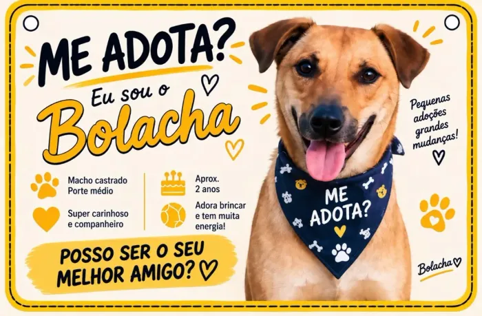 ADOÇÃO RESPONSÁVEL CURITIBA 