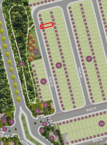 Lote Terras da Fazenda Paulínia direto com Proprietário - Frente para Bosque