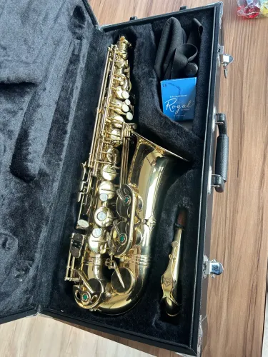 Saxofone Alto Eagle SA 501 - Uso pessoal, com estojo e acessórios