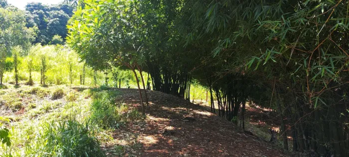 Vendo chácara com 3.000 m² em Marialva