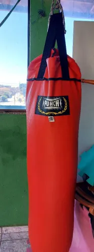 Saco de pancada punch