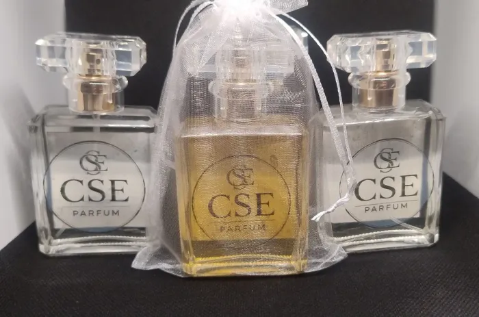 CSE PARFUM - Perfumes inspirados - 30% (elixir)