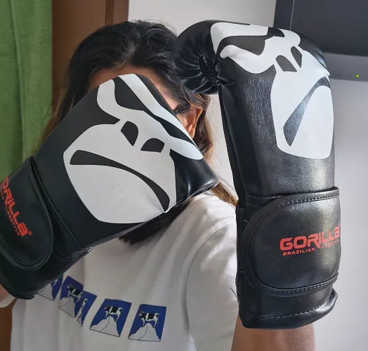 Luva de Boxe, Muay Thai